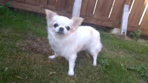 午前のお時間　2025/11/24