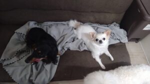 午前のお時間　2025/11/25