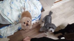 午前のお時間　2025/11/26