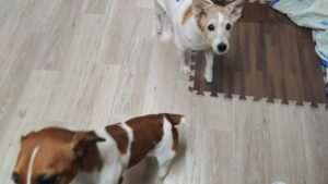 夜のお時間　2025/11/26