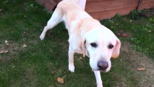 午前のお時間　2025/11/27