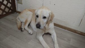 夜のお時間 2025/11/27