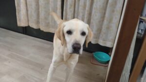 夜のお時間　2025/11/29