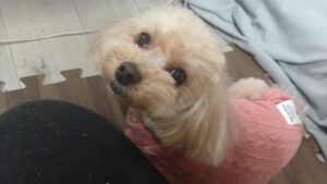 夜のお時間　2025/11/29