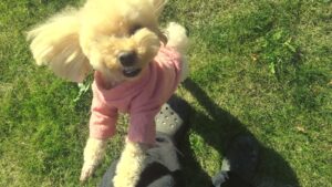 朝のお時間　2025/11/30