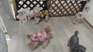 夜のお時間　2025/11/30