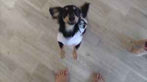 午前のお時間　2025/12/1