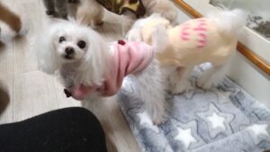 夜のお時間　2025/12/1