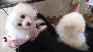 午前のお時間　2025/12/2