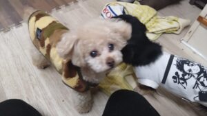 夜のお時間　2025/12/2