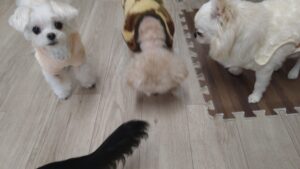 午前のお時間　2025/12/3