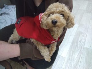 夜のお時間　2025/12/3