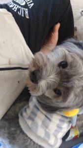 午前のお時間　2025/12/4