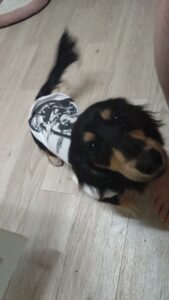 夜のお時間　2025/12/4