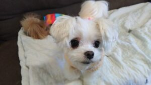 午前のお時間　2025/12/5