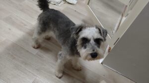 夜のお時間　2025/12/5