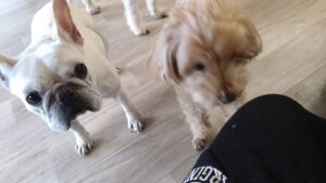 午前のお時間　2025/12/6