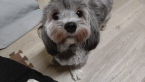 夜のお時間　2025/12/6