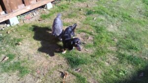 午前のお時間　2025/12/7