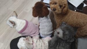 夜のお時間　2025/12/7