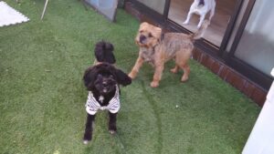 午前のお時間　2025/12/7