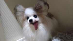 夜のお時間　2025/12/7