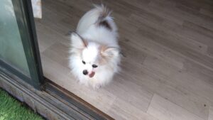 午前のお時間　2025/12/9