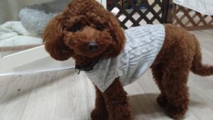 夜のお時間　2025/12/9