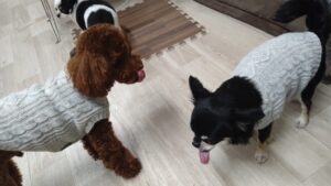 夜のお時間　2025/12/10