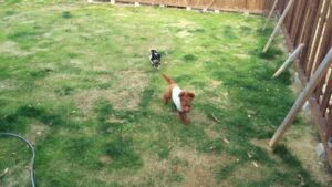 午前のお時間　2025/12/11