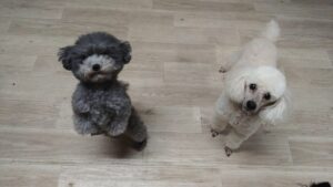 夜のお時間　2025/12/11