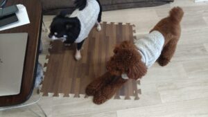 午前のお時間　2025/12/12