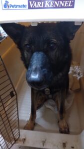 夜のお時間　2025/12/12