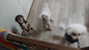 午前のお時間　2025/12/13