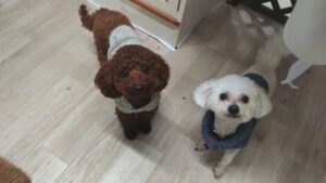 夜のお時間　2025/12/13