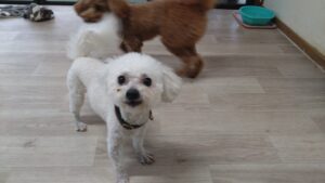 午前のお時間　2025/12/14