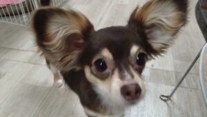 夜のお時間　2025/12/14