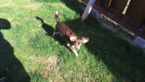 午前のお時間　2025/12/15