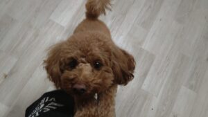 夜のお時間　2025/12/15