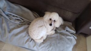 午前のお時間　2025/12/16