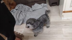 夜のお時間　2025/12/16