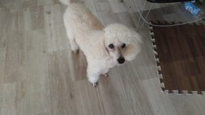 朝のお時間　2025/12/17