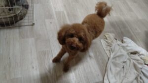 夜のお時間　2025/12/17