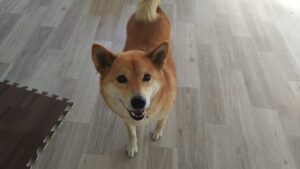 午前のお時間　2025/12/18