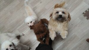 夜のお時間　2025/12/18