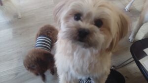 午前のお時間　2025/12/19