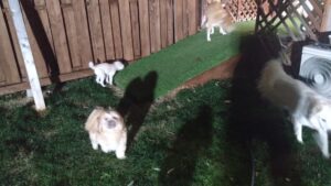 夜のお時間　2025/12/19