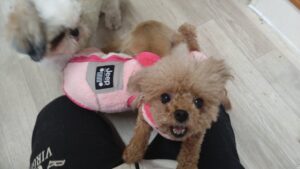 午前のお時間　2025/12/20