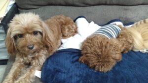 夜のお時間　2025/12/20