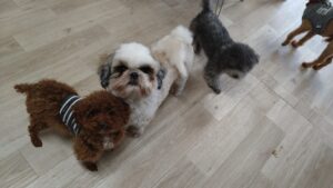 午前のお時間　2025/12/21